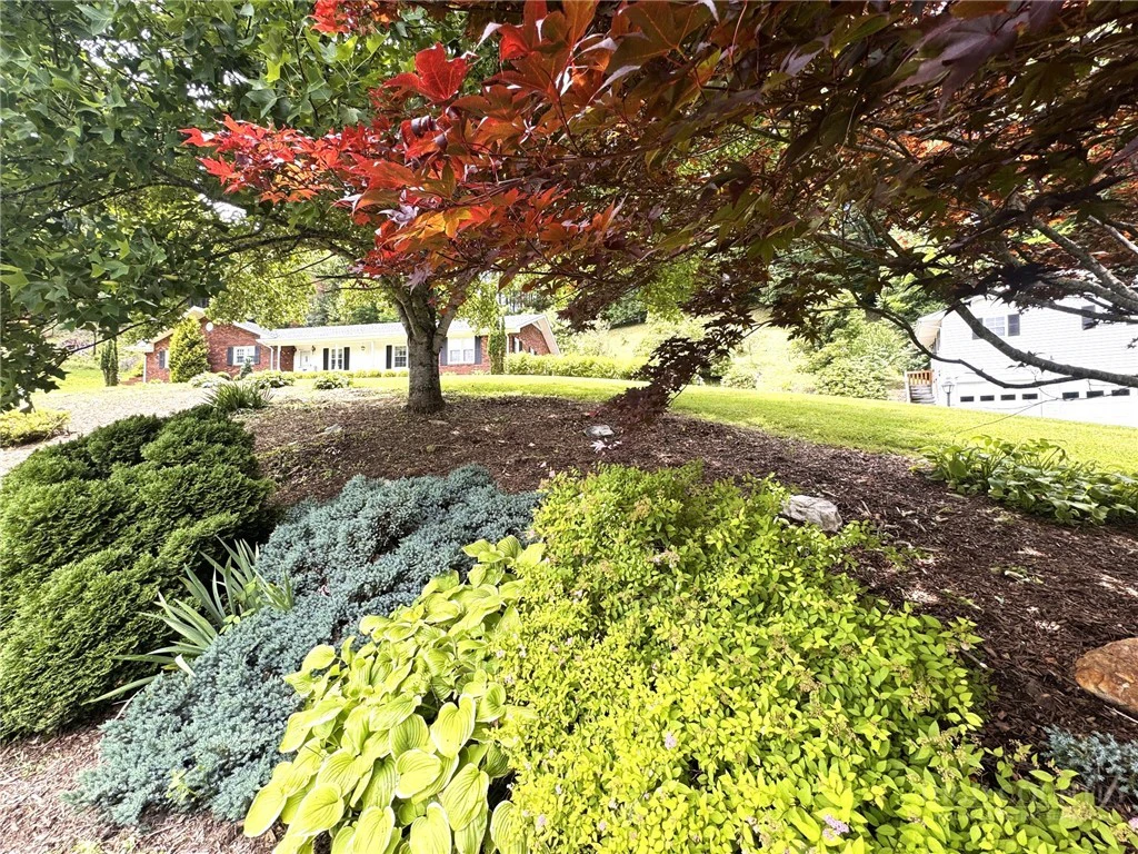 Image number 8 for the current listing