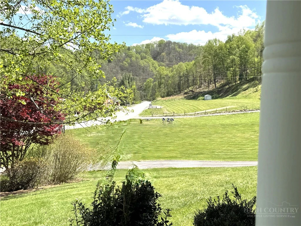 Image number 10 for the current listing