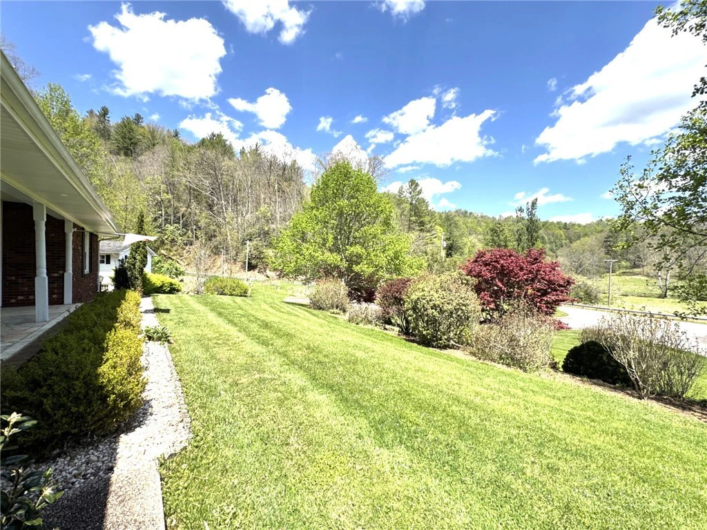 Image number 11 for the current listing