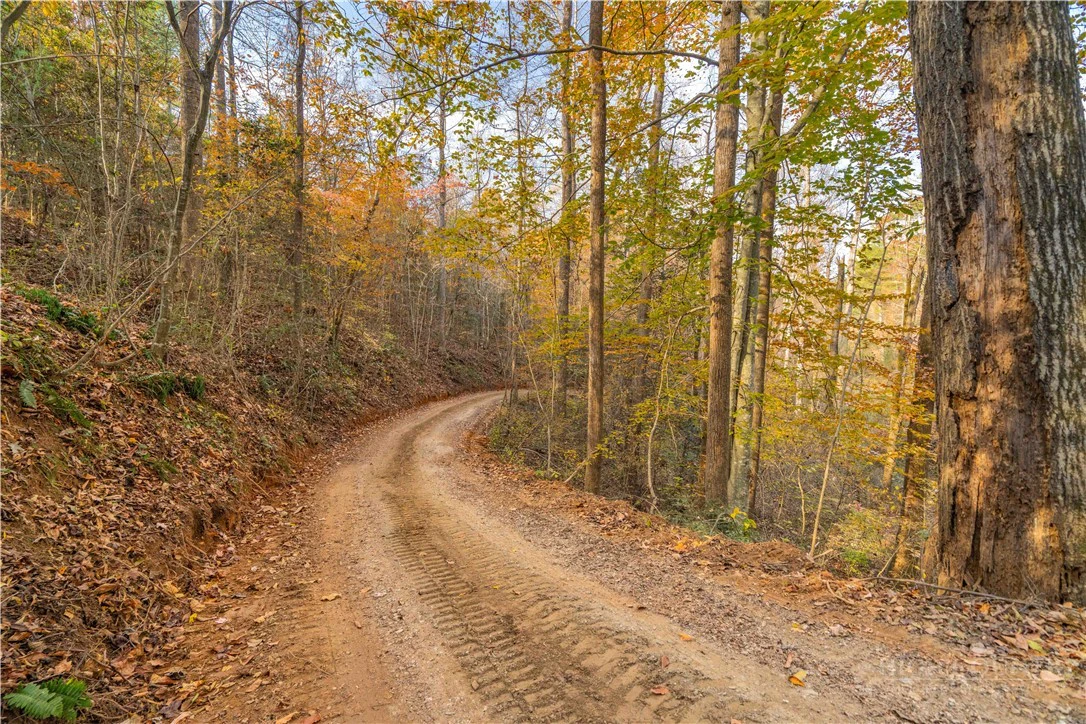 Image number 4 for the current listing