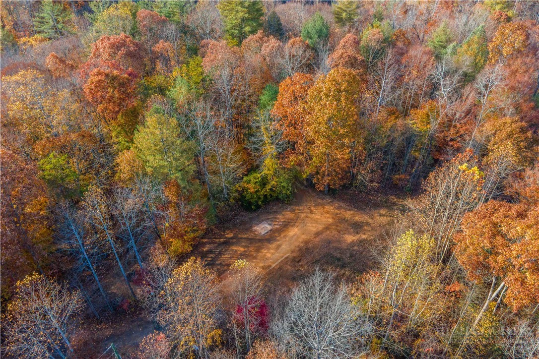 Image number 5 for the current listing