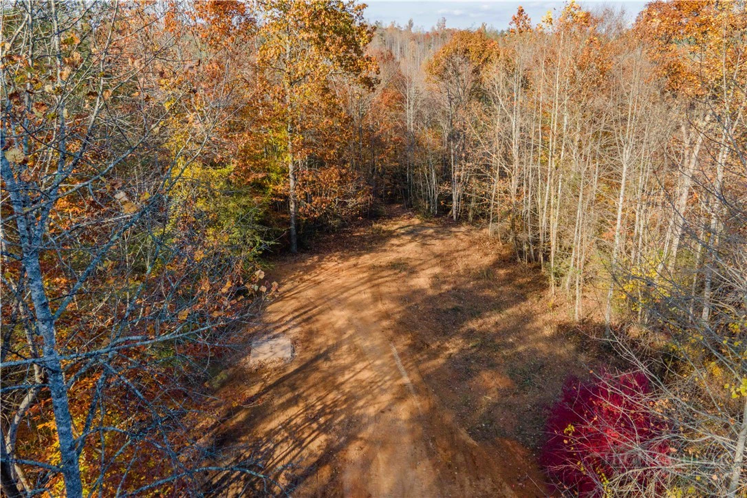 Image number 6 for the current listing