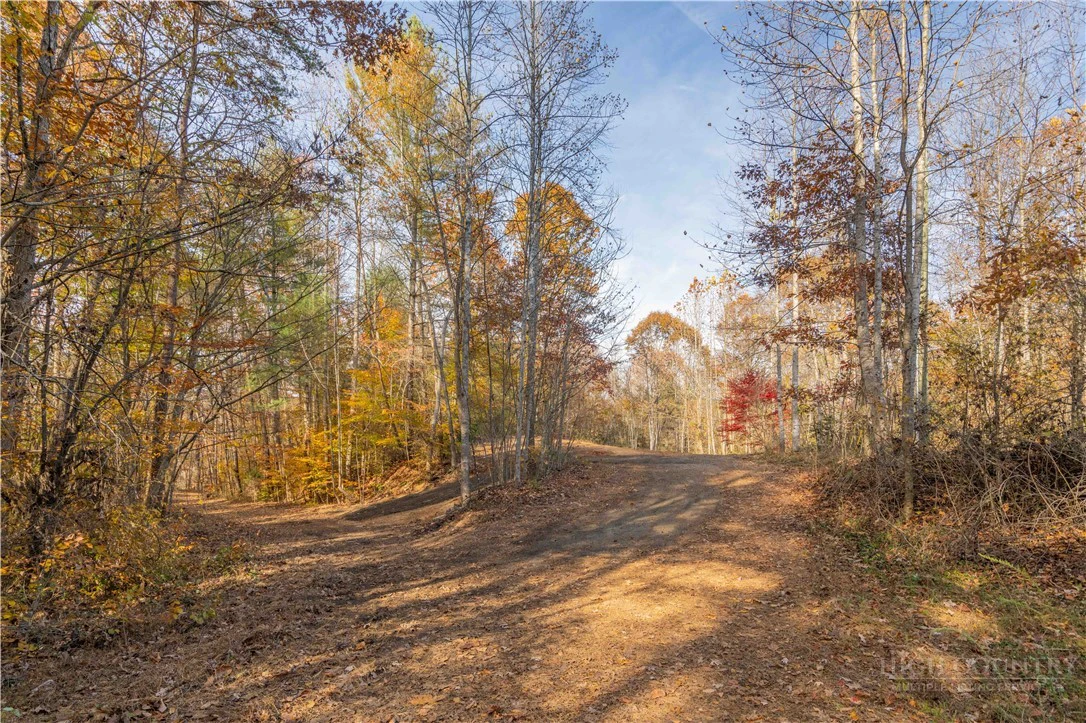 Image number 7 for the current listing