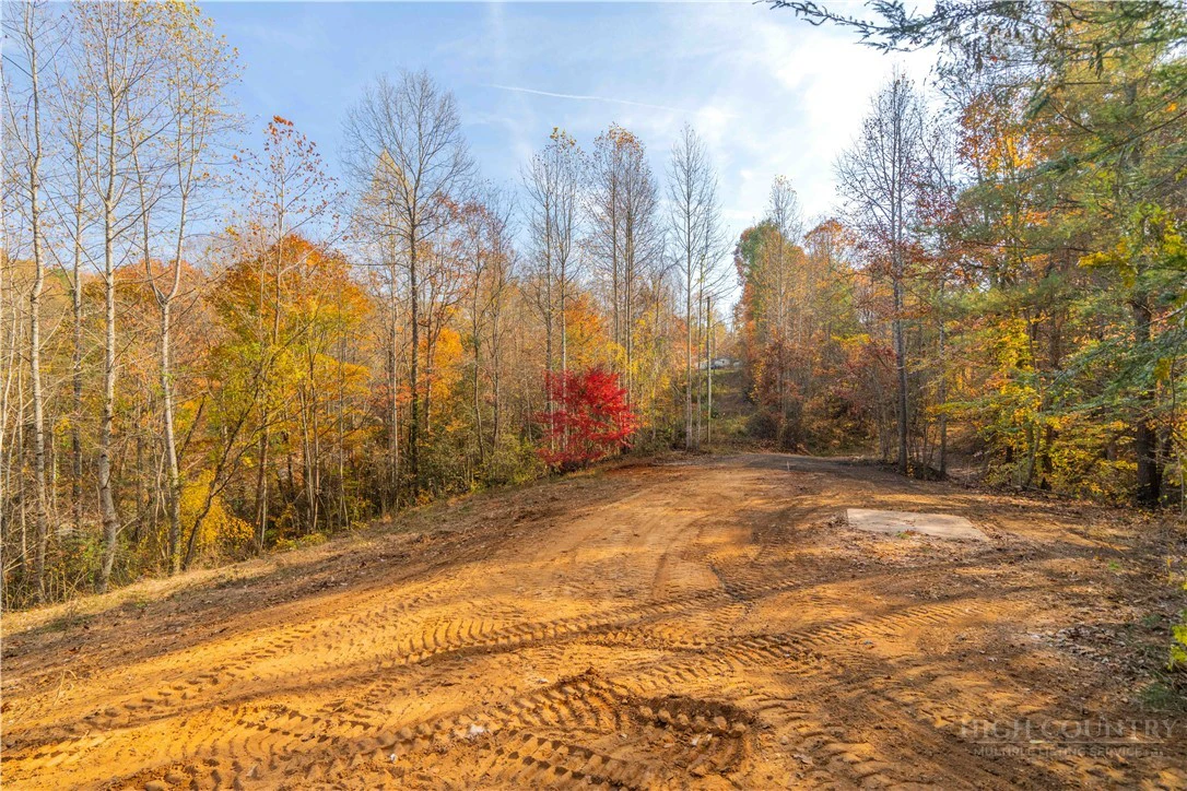 Image number 8 for the current listing