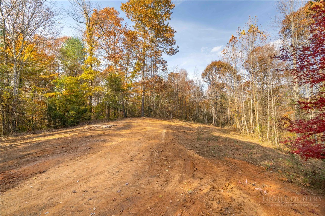 Image number 9 for the current listing