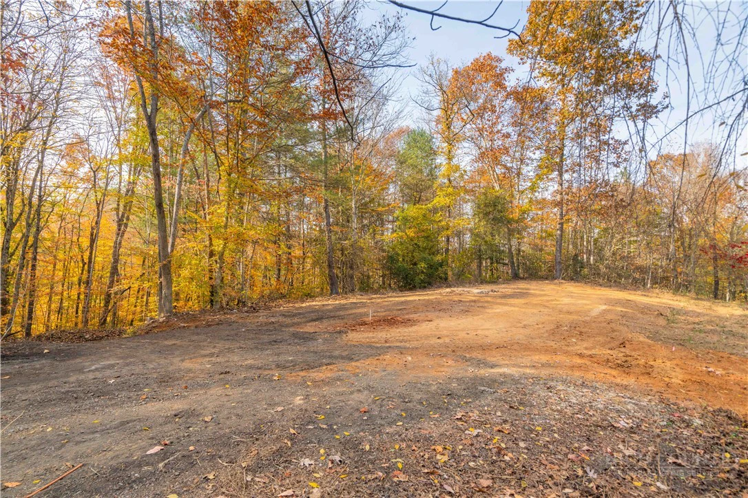 Image number 10 for the current listing
