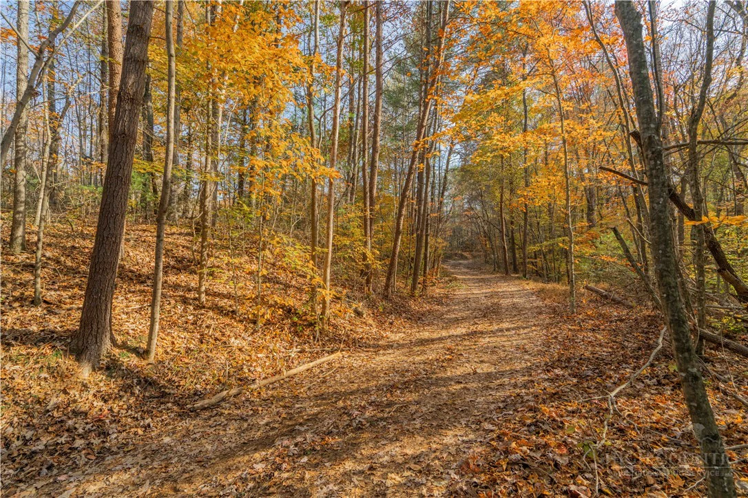 Image number 11 for the current listing