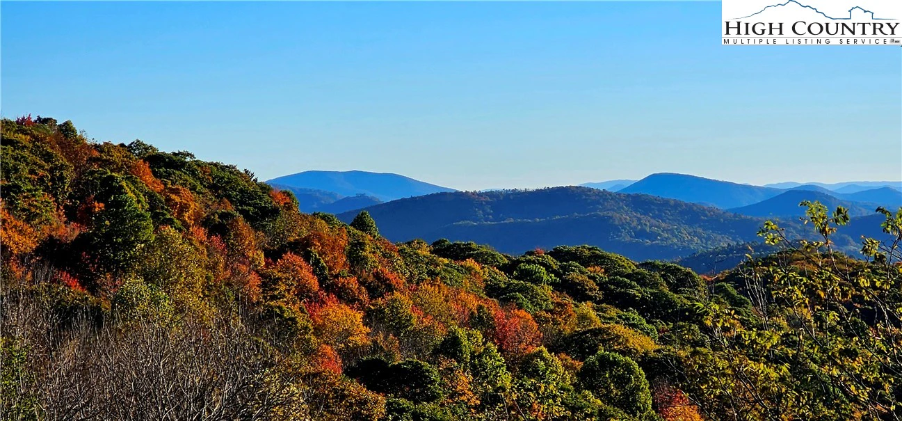 Image number 1 for the current listing