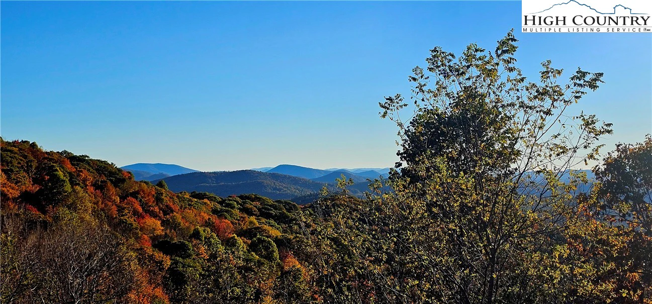 Image number 17 for the current listing
