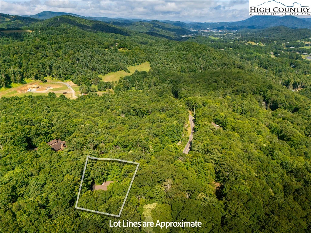 Image number 5 for the current listing