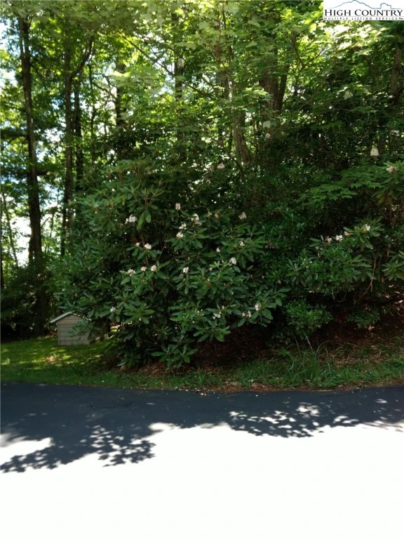 Image number 1 for the current listing