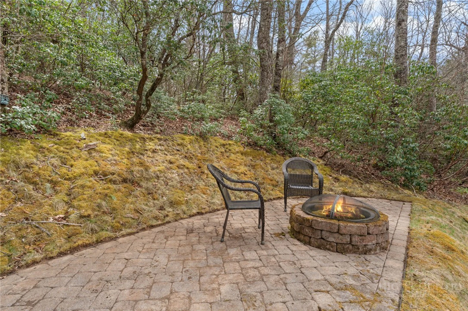 Image number 17 for the current listing