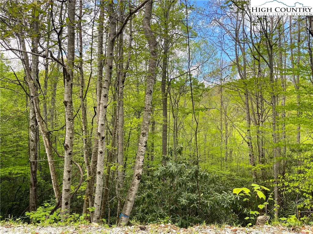 Image number 1 for the current listing