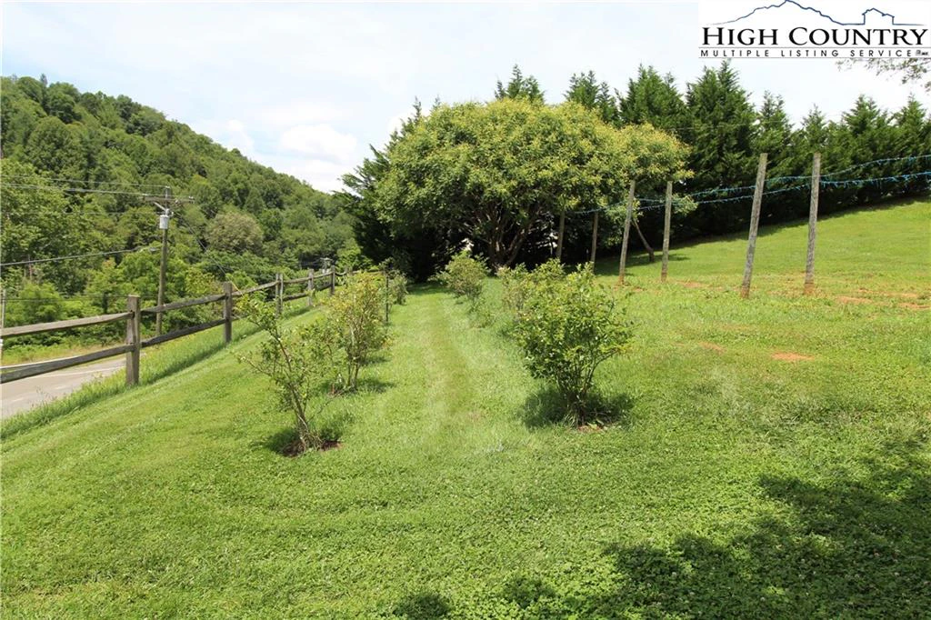 Image number 14 for the current listing