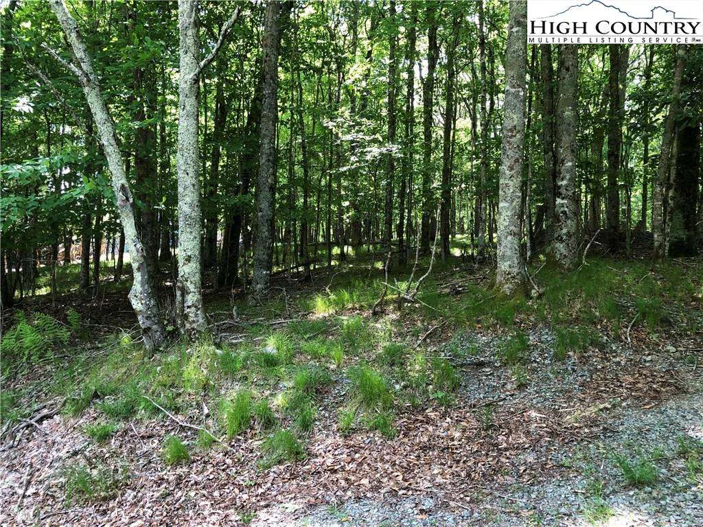 Image number 1 for the current listing