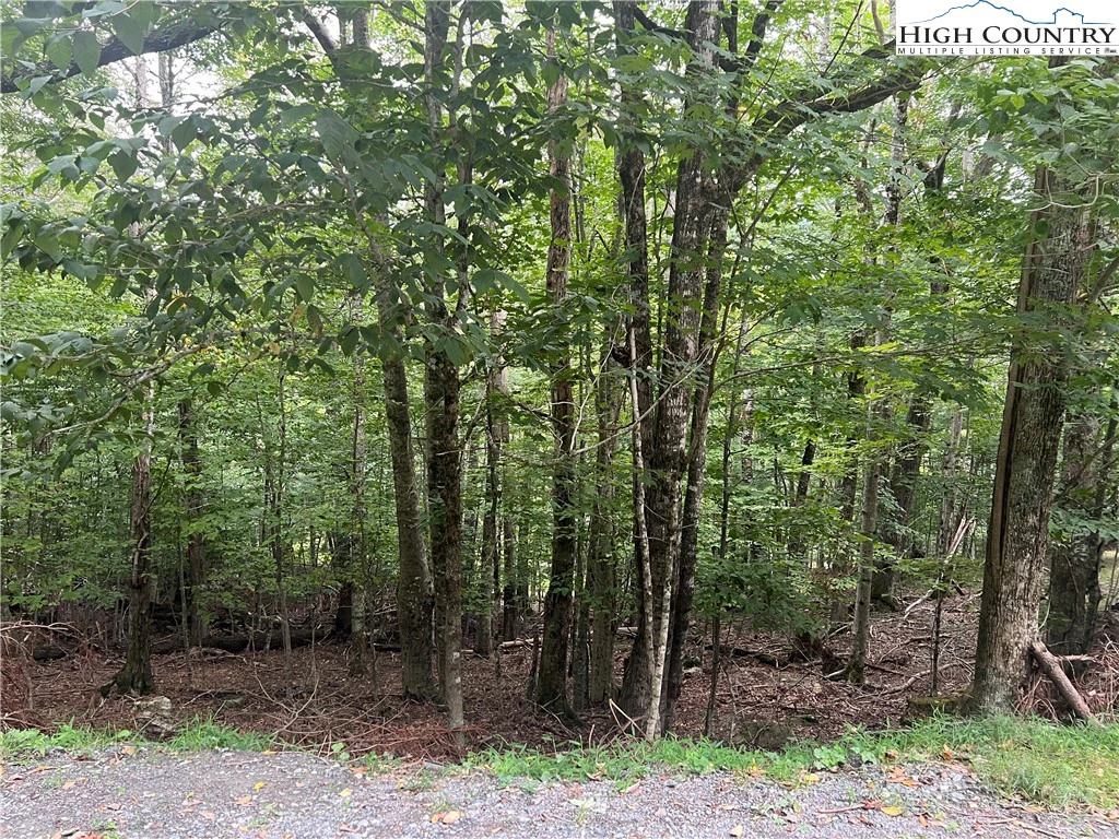 Image number 1 for the current listing