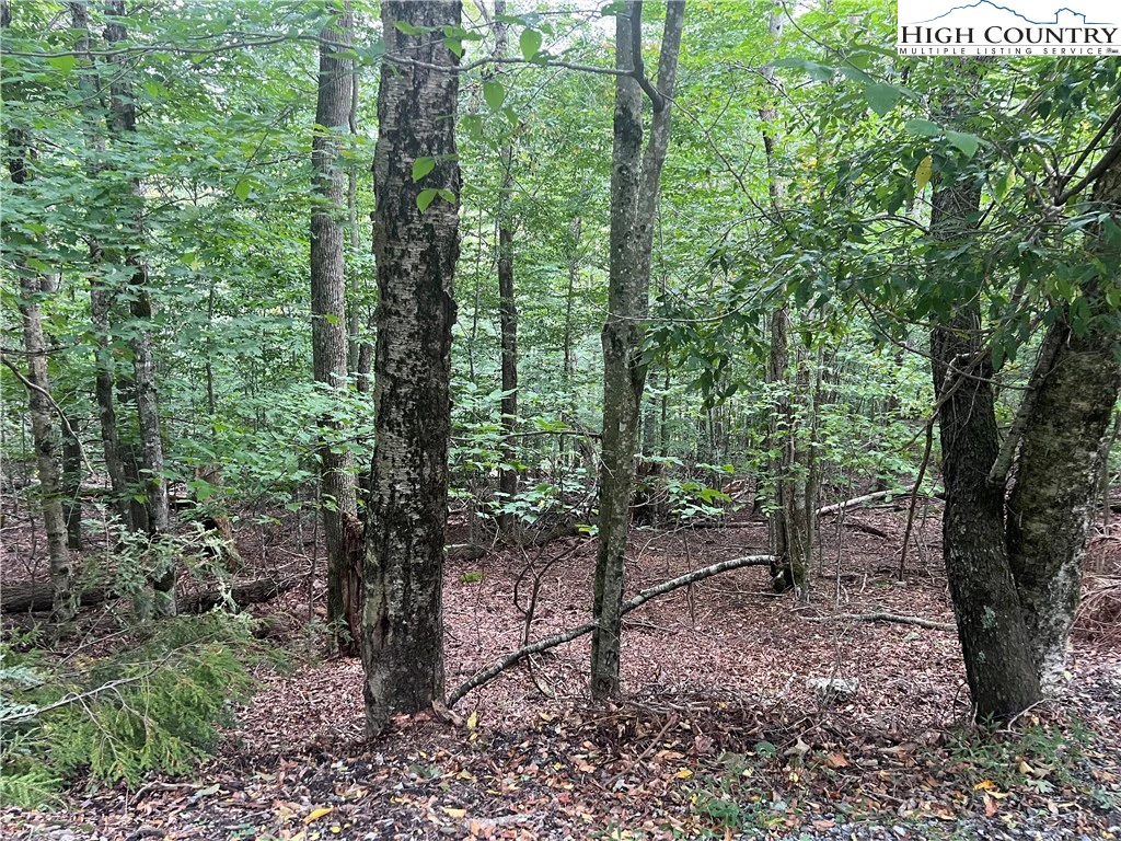 Image number 3 for the current listing