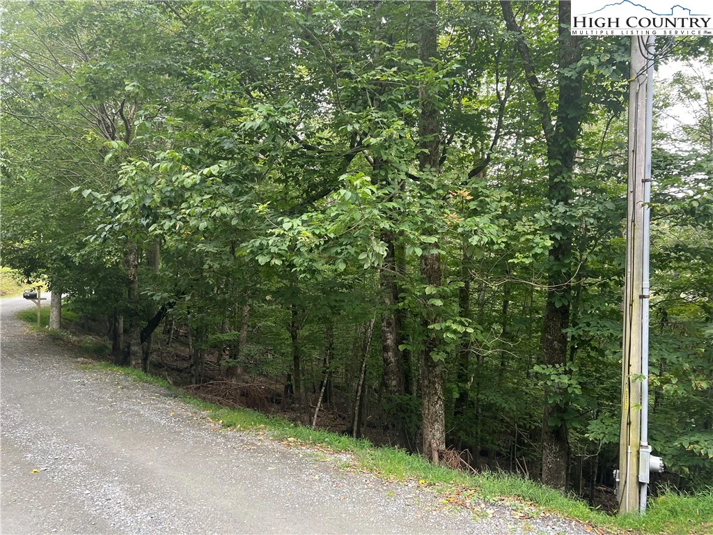 Image number 4 for the current listing