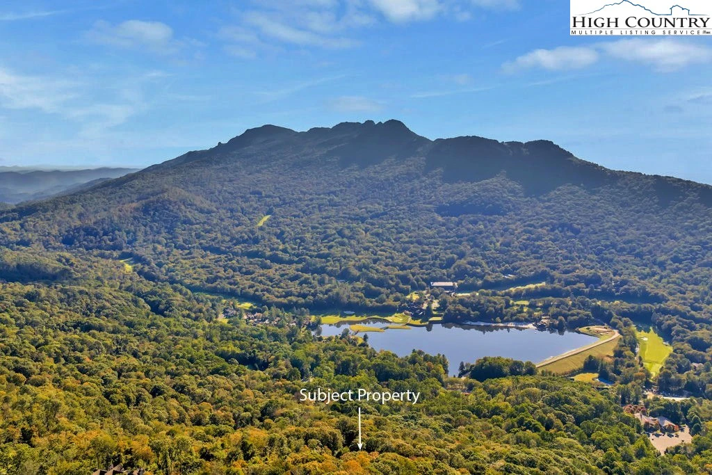 Image number 1 for the current listing