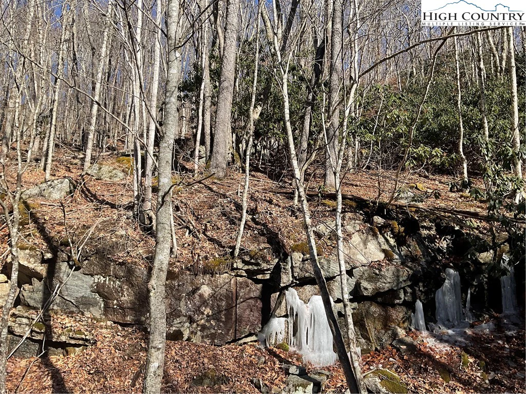 Image number 1 for the current listing