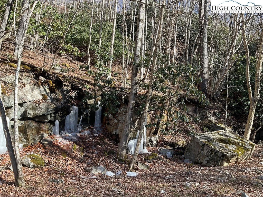 Image number 3 for the current listing