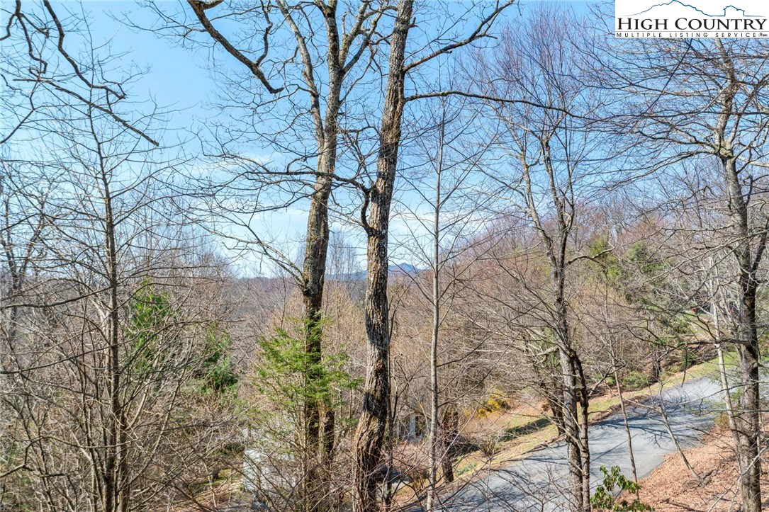 Image number 21 for the current listing