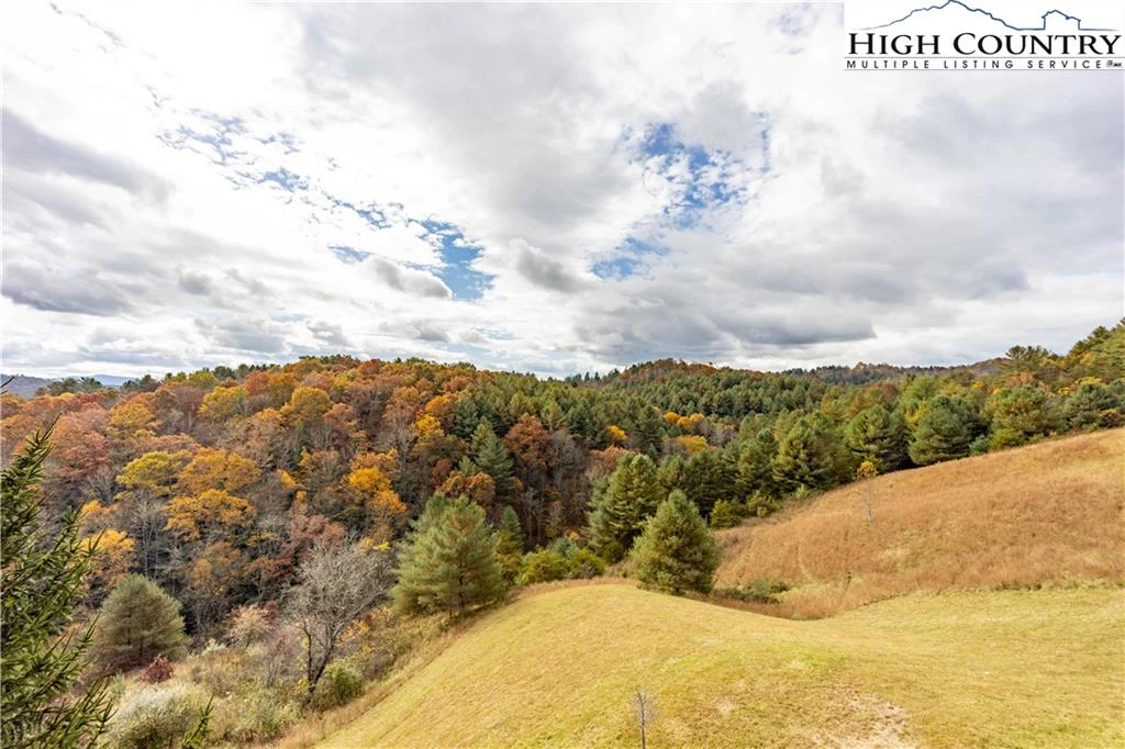 Image number 2 for the current listing