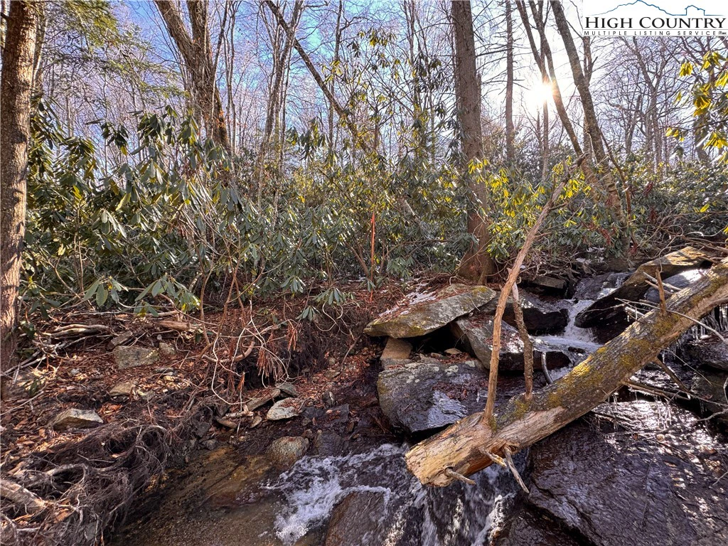 Image number 5 for the current listing
