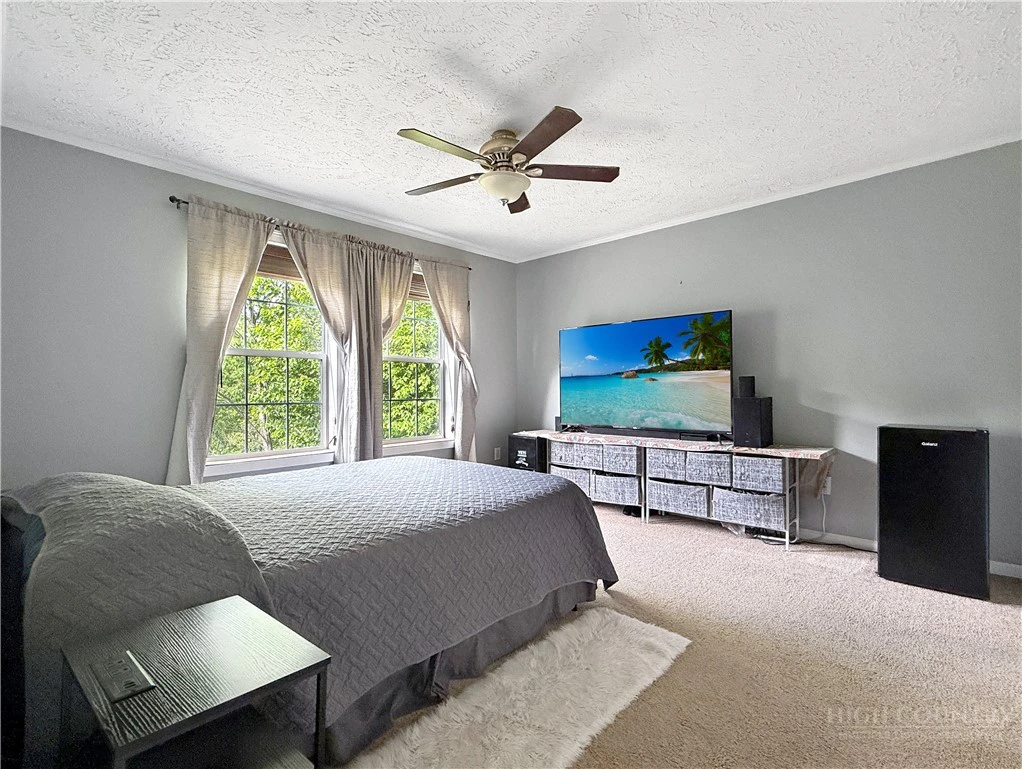 Image number 12 for the current listing