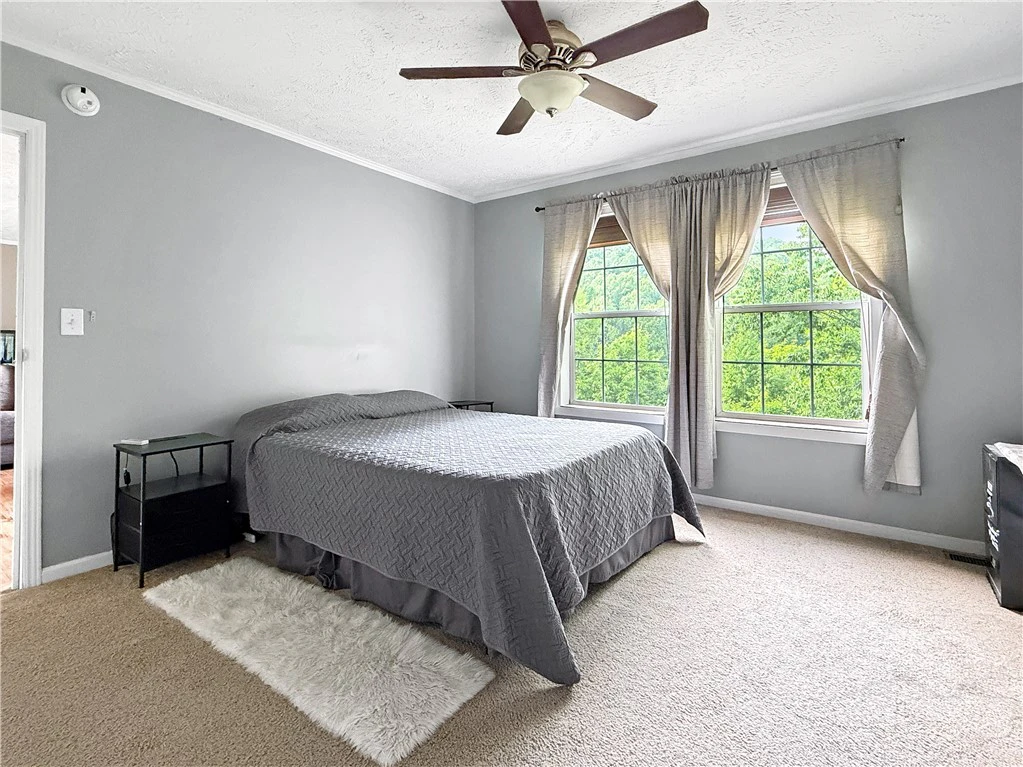 Image number 13 for the current listing