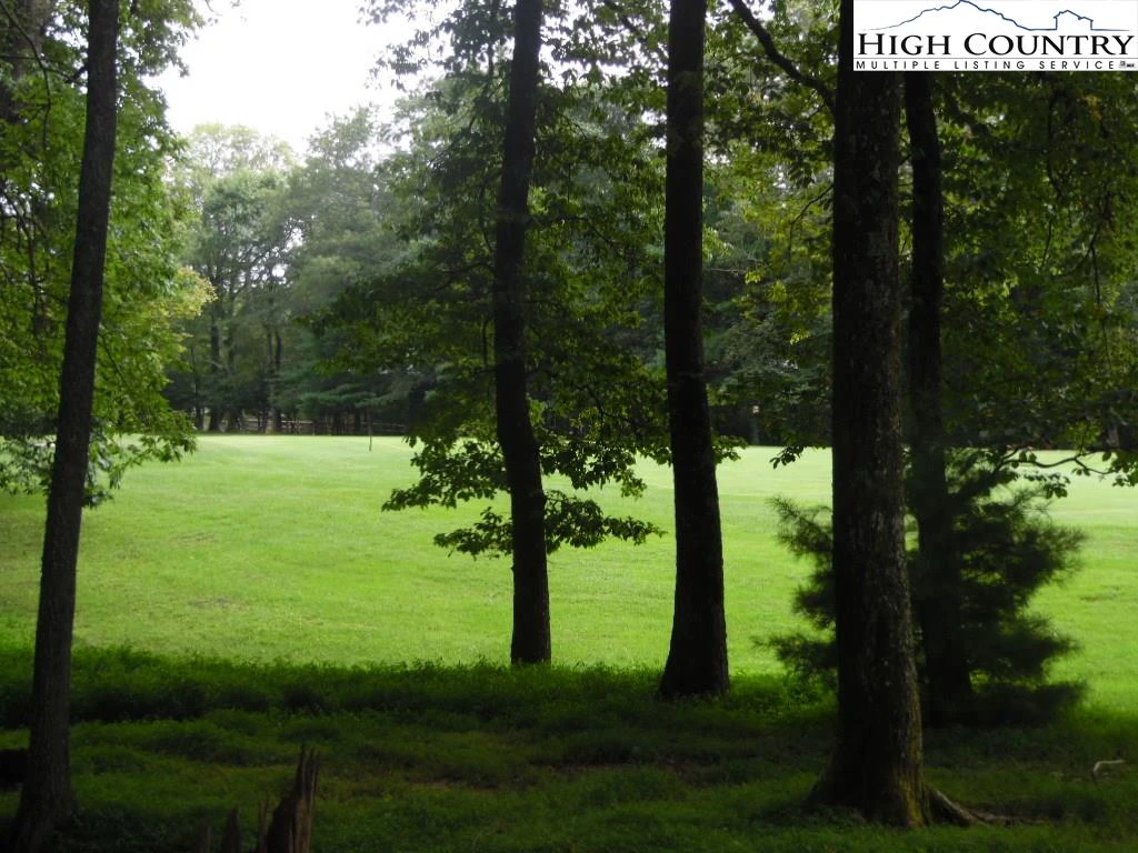 Image number 4 for the current listing