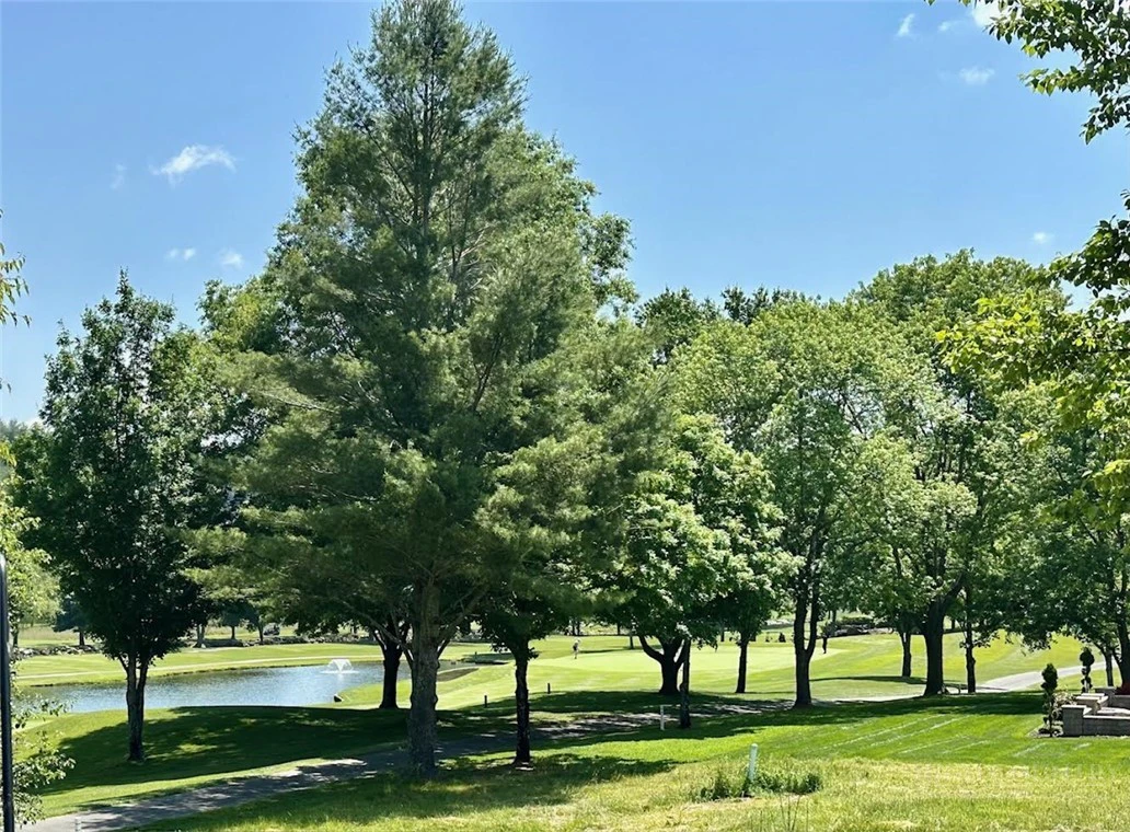 Image number 16 for the current listing