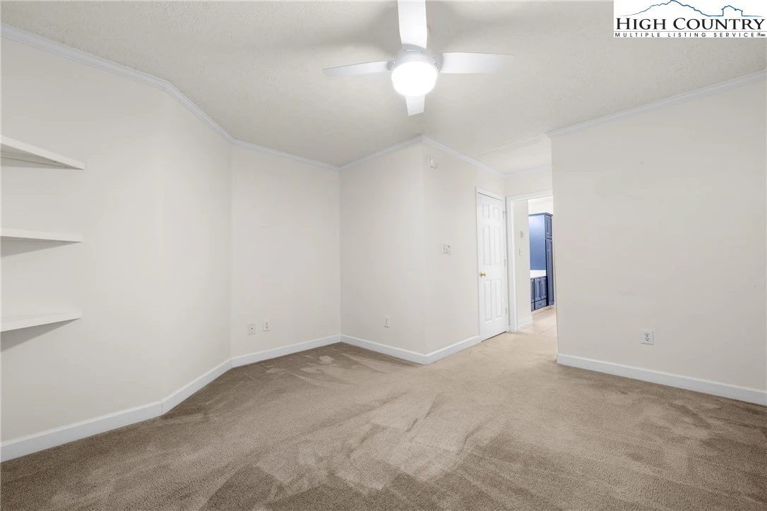 Image number 12 for the current listing