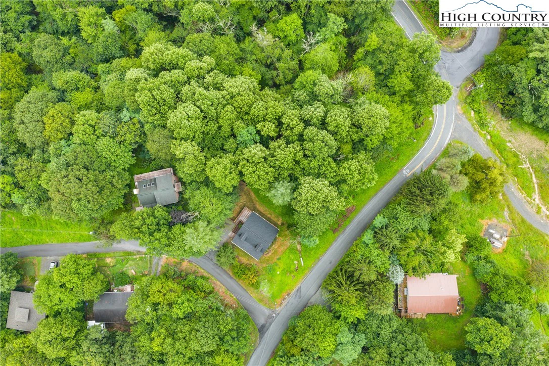 Image number 1 for the current listing