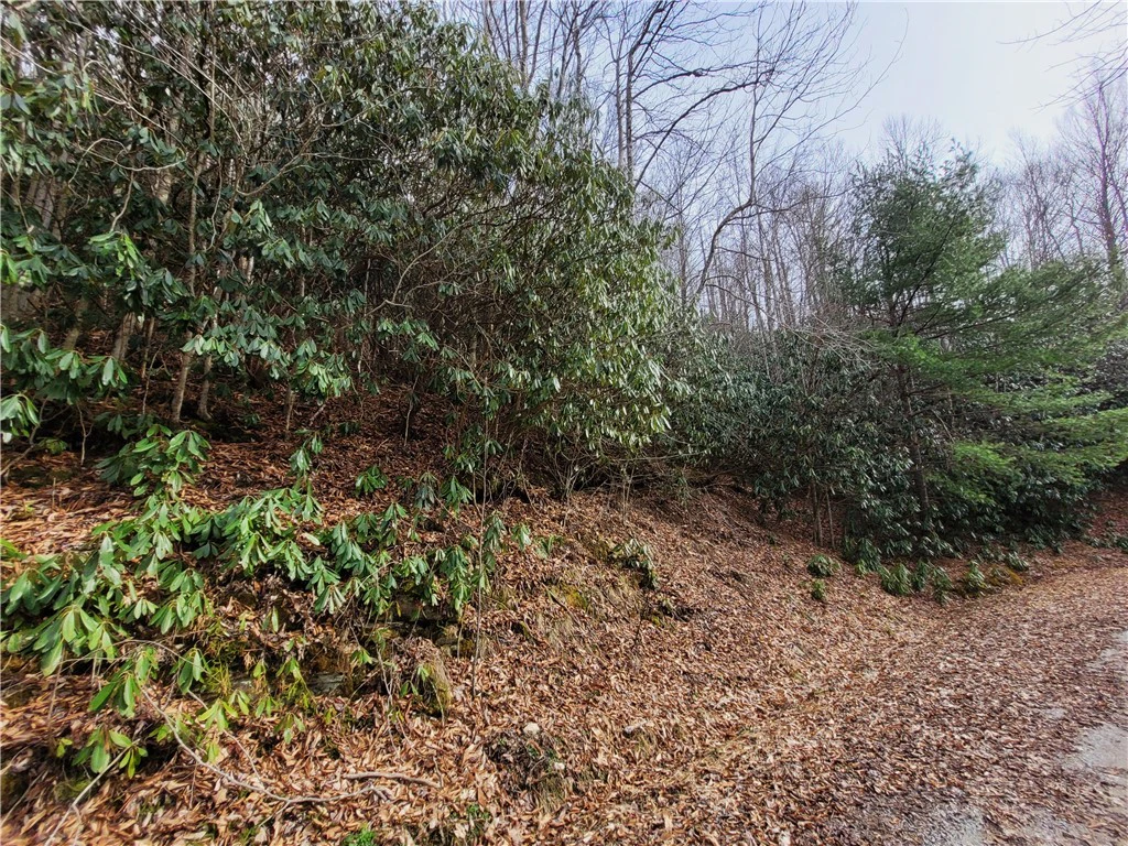Image number 3 for the current listing
