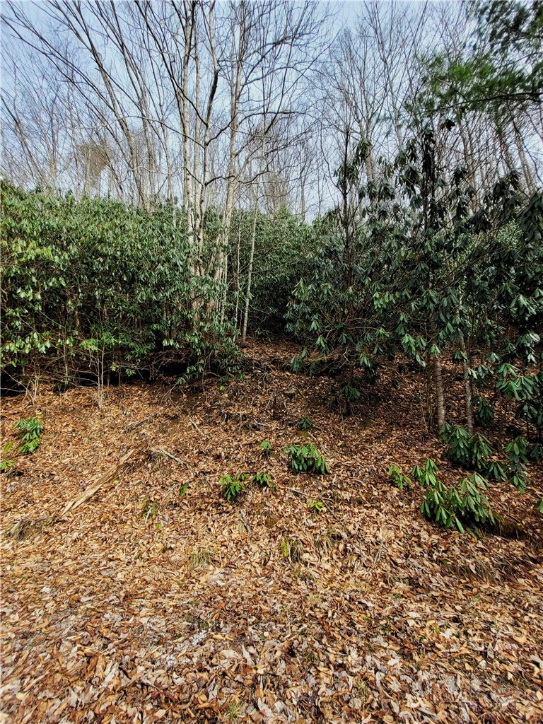 Image number 4 for the current listing