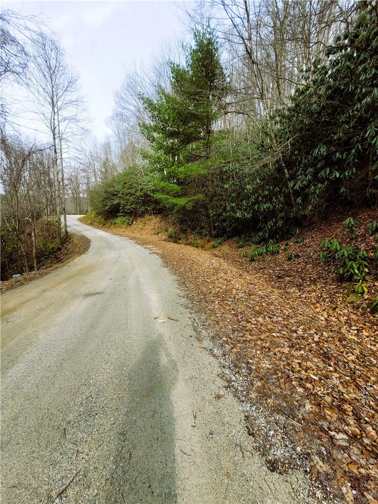 Image number 5 for the current listing