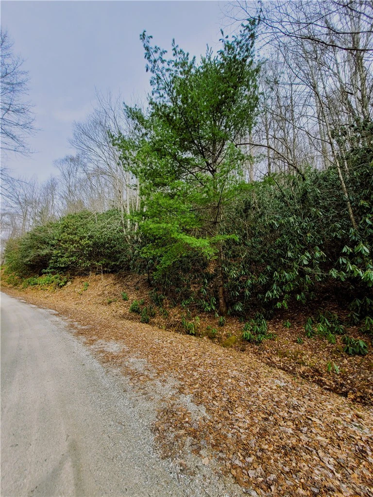 Image number 6 for the current listing