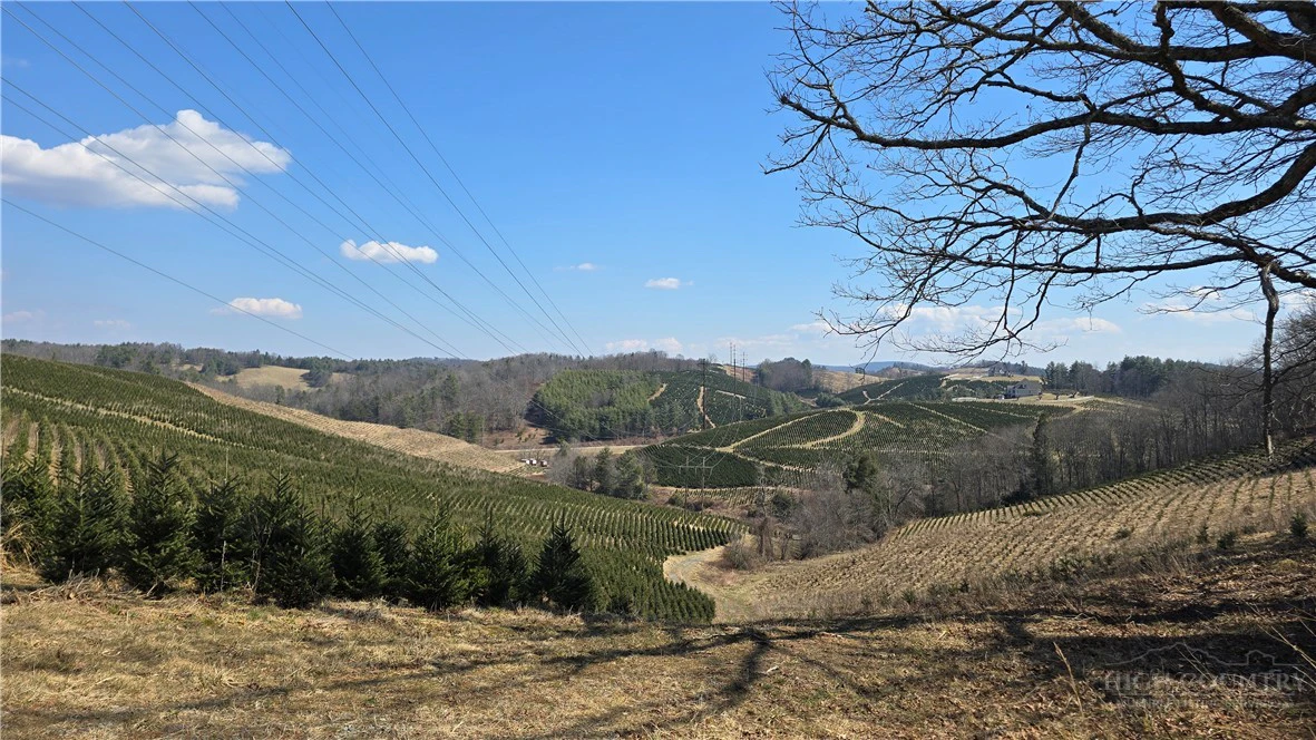 Image number 10 for the current listing
