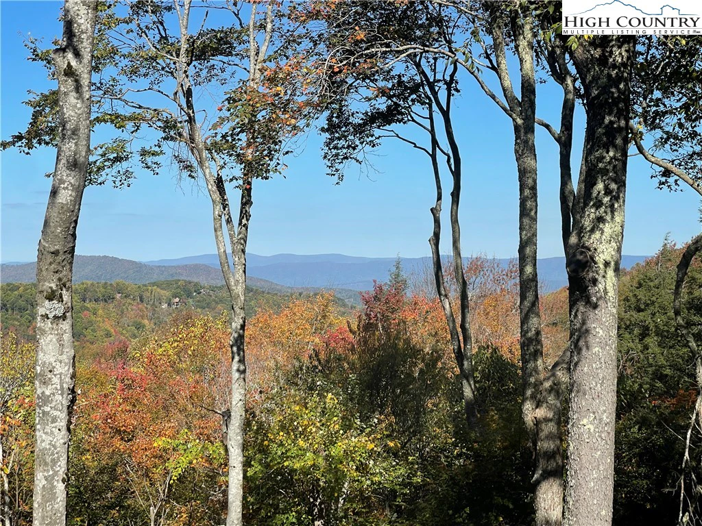 Image number 1 for the current listing