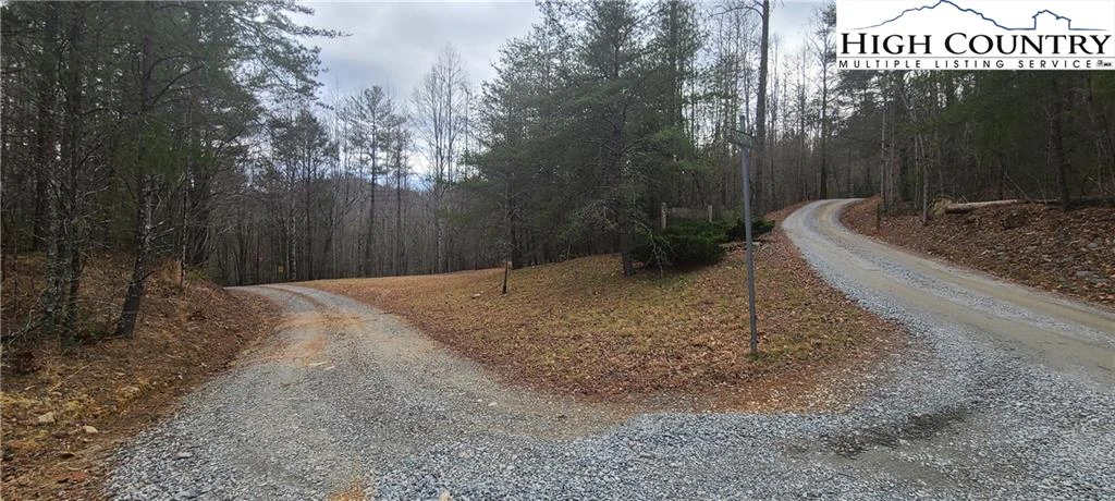 Image number 1 for the current listing