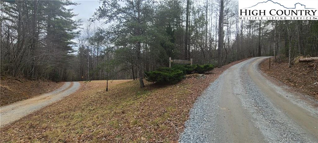 Image number 11 for the current listing