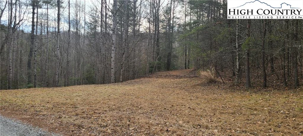 Image number 3 for the current listing