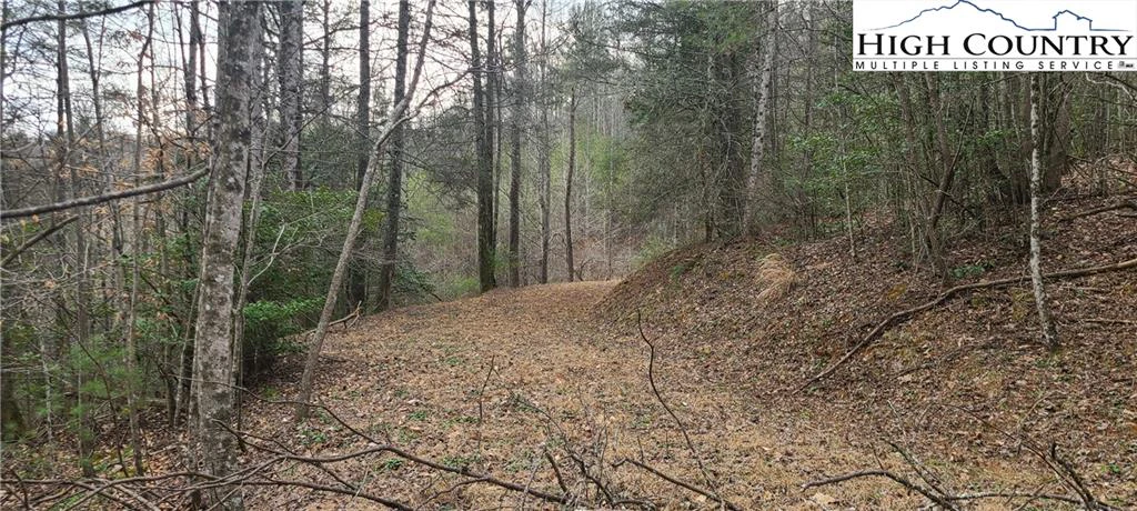 Image number 4 for the current listing