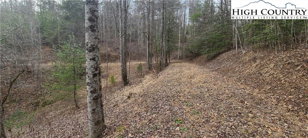 Image number 6 for the current listing