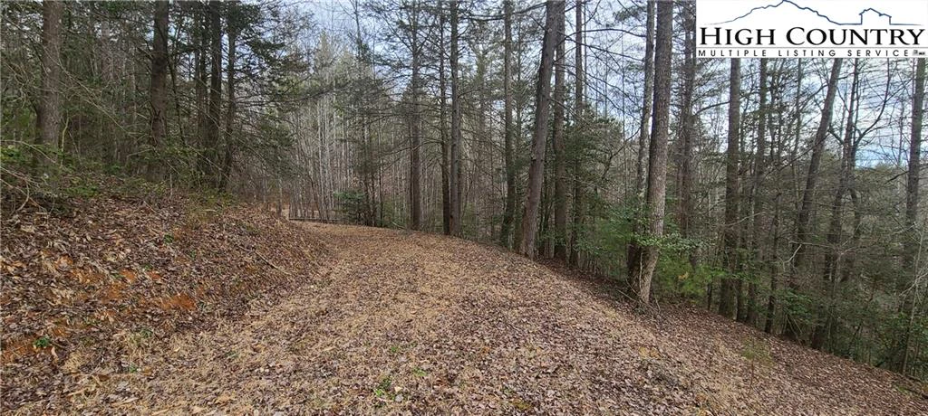 Image number 7 for the current listing