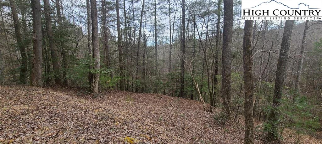 Image number 8 for the current listing