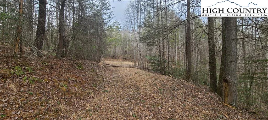 Image number 10 for the current listing