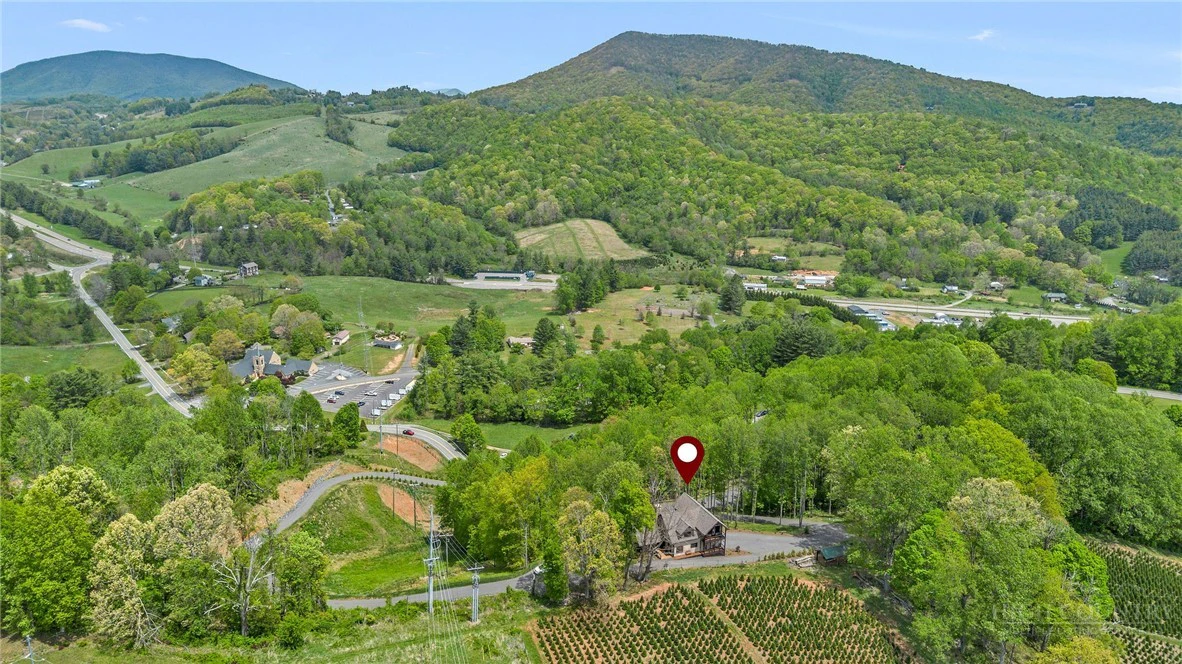 Image number 3 for the current listing