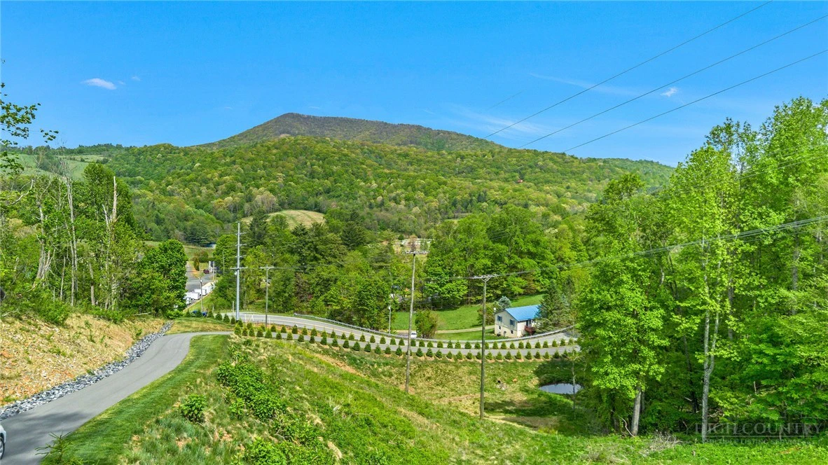 Image number 7 for the current listing